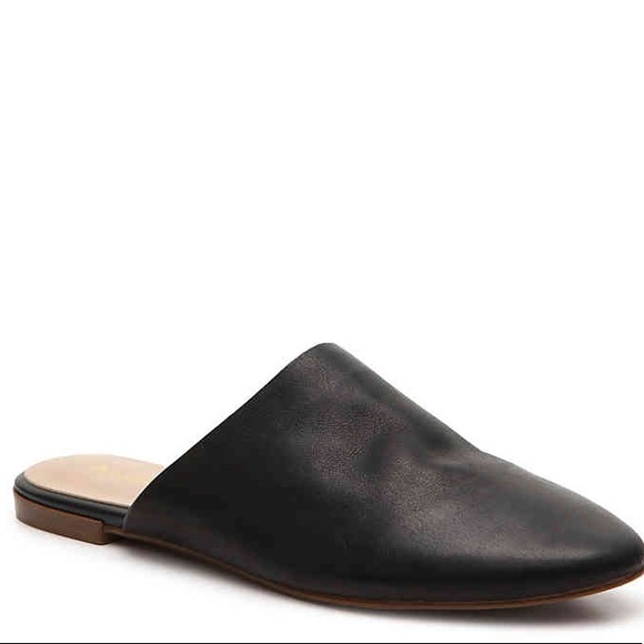 aldo parelia mule